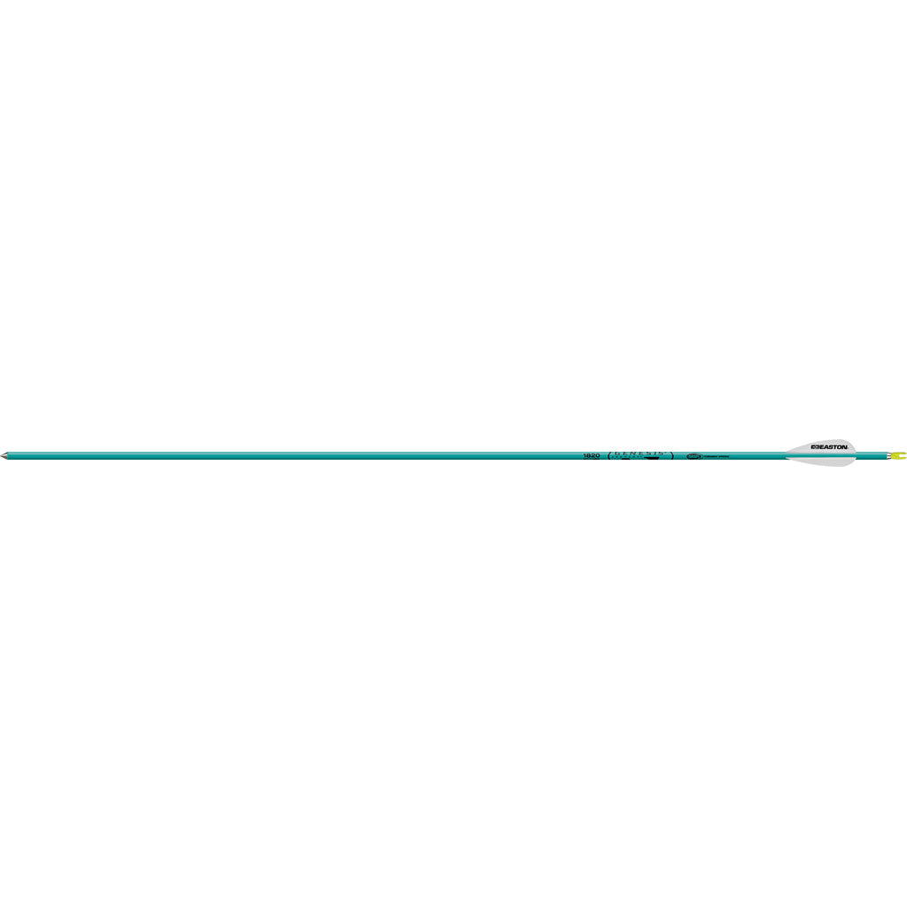 286748026.jpg
