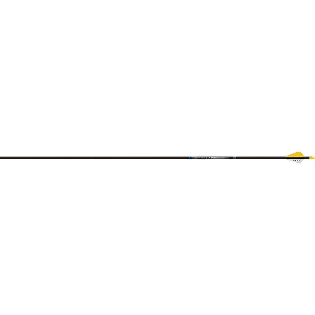 286748625.jpg