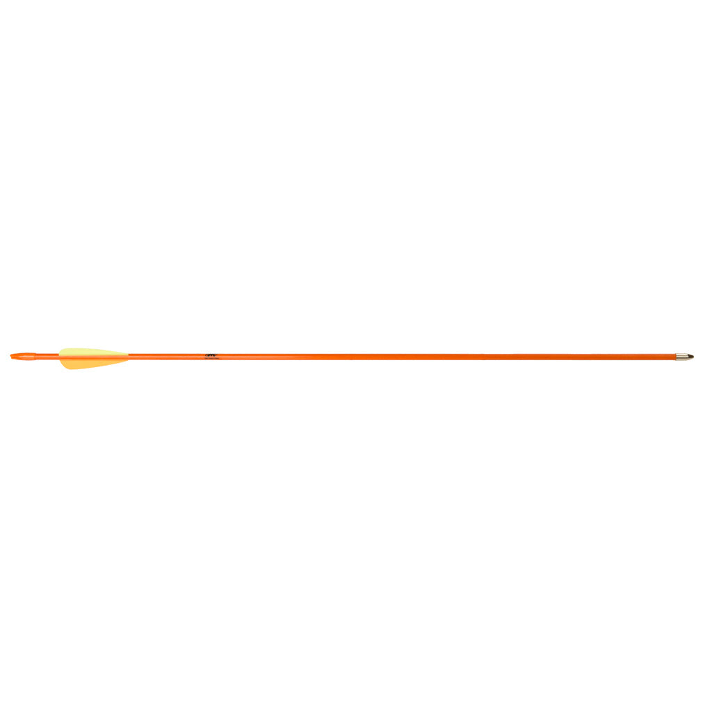 286748364.jpg
