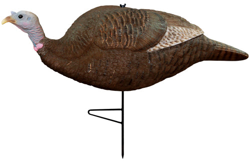 286756463.jpg