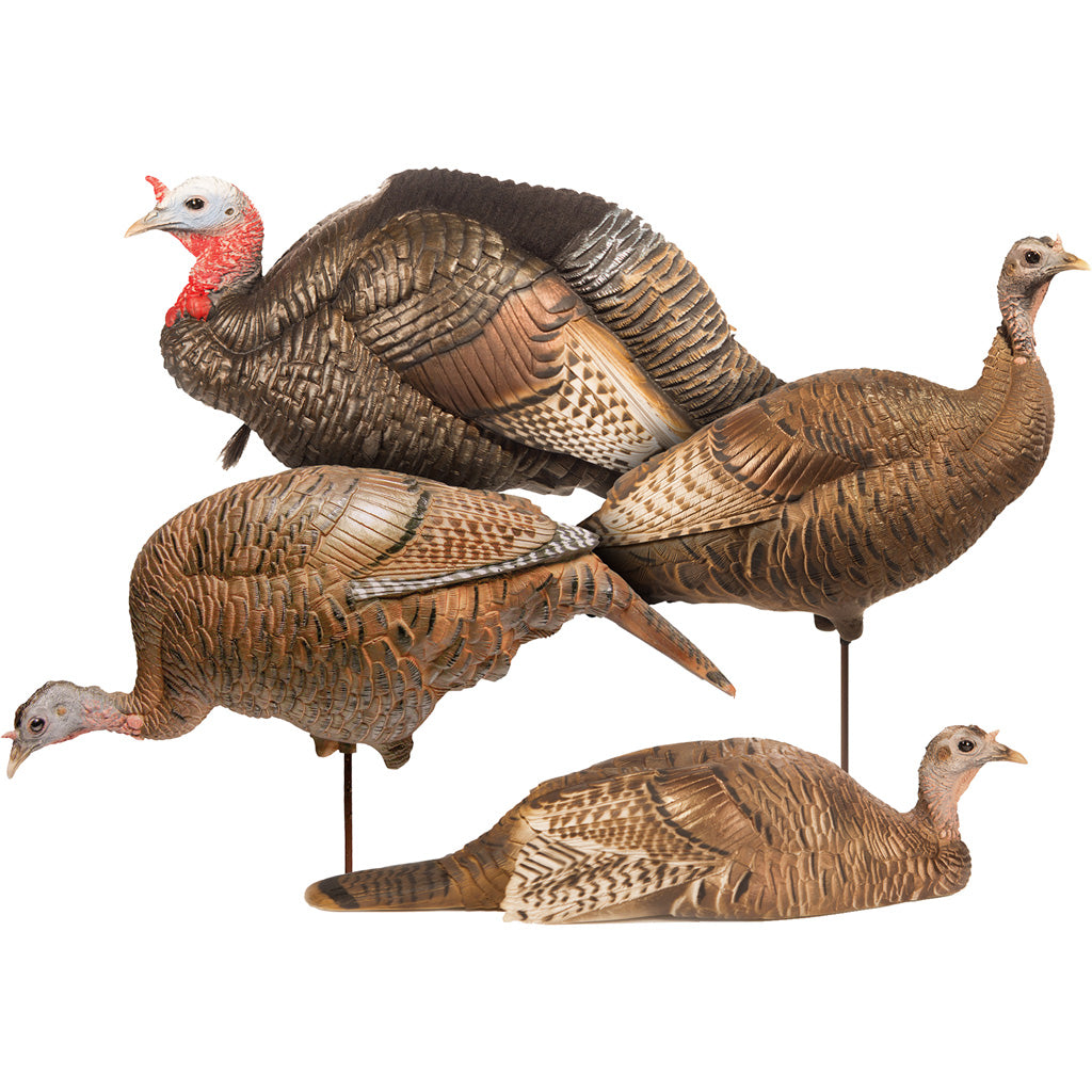 286756264.jpg
