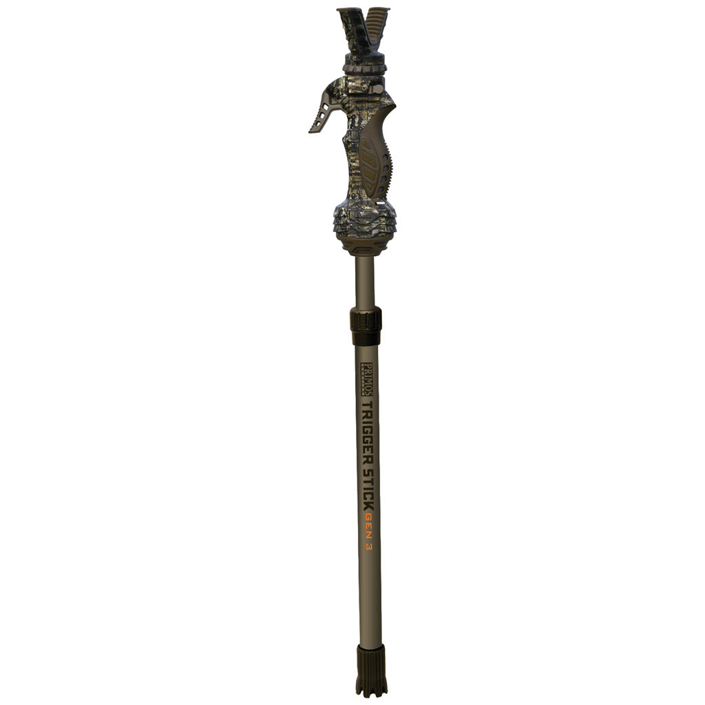 286762472.jpg