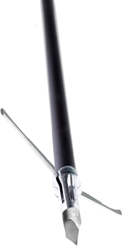 286650304.jpg