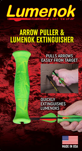 286652411.jpg