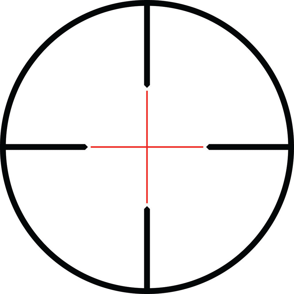 286679645.jpg