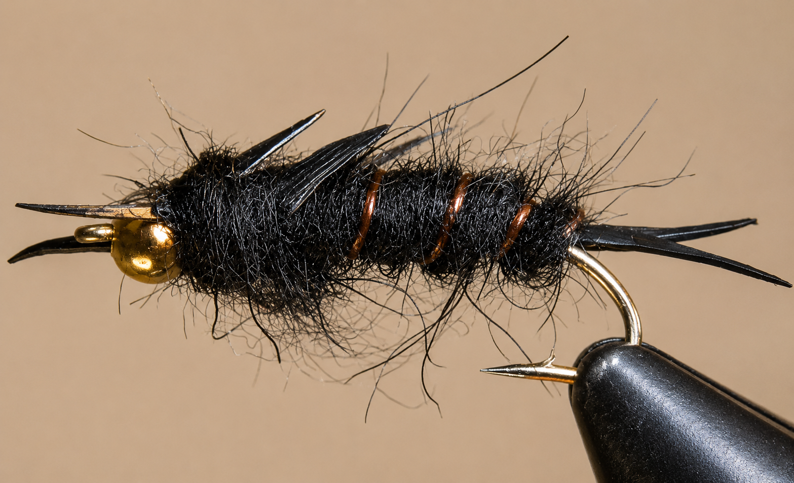 Giant Stonefly Nymphs