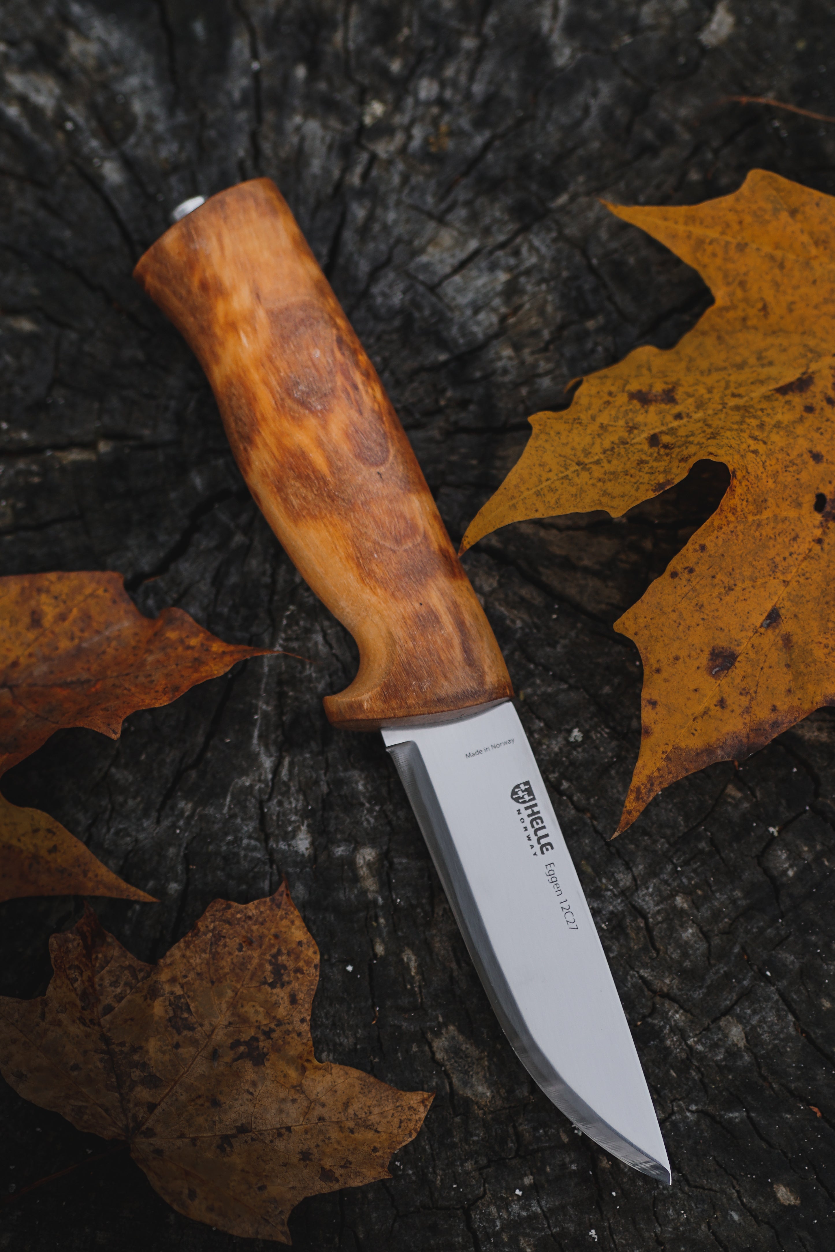 Helle Eggen 12C27