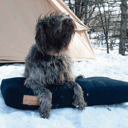 Dog Bed