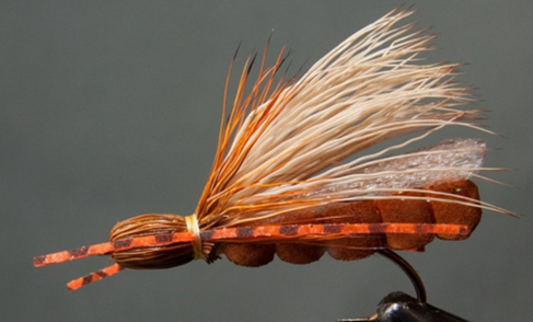 Stone Fly - Yellow Foam / Golden Stone