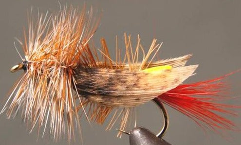 Hopper – Joe’s Foam