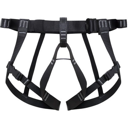 285884809.jpg