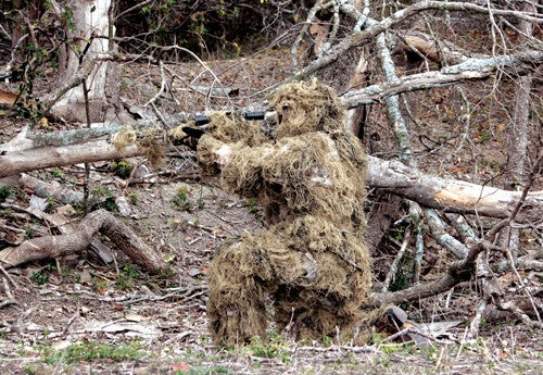 286649902.jpg