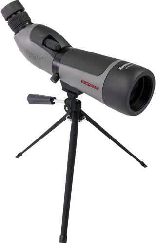 286650987.jpg