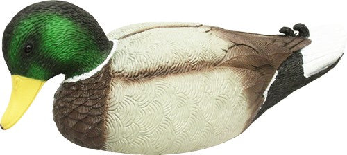 286657765.jpg