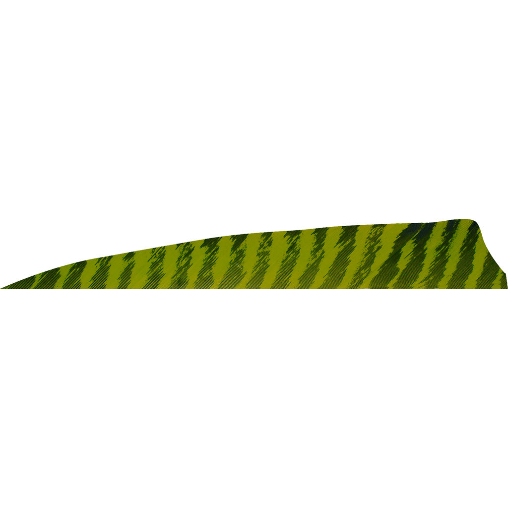 286665457.jpg