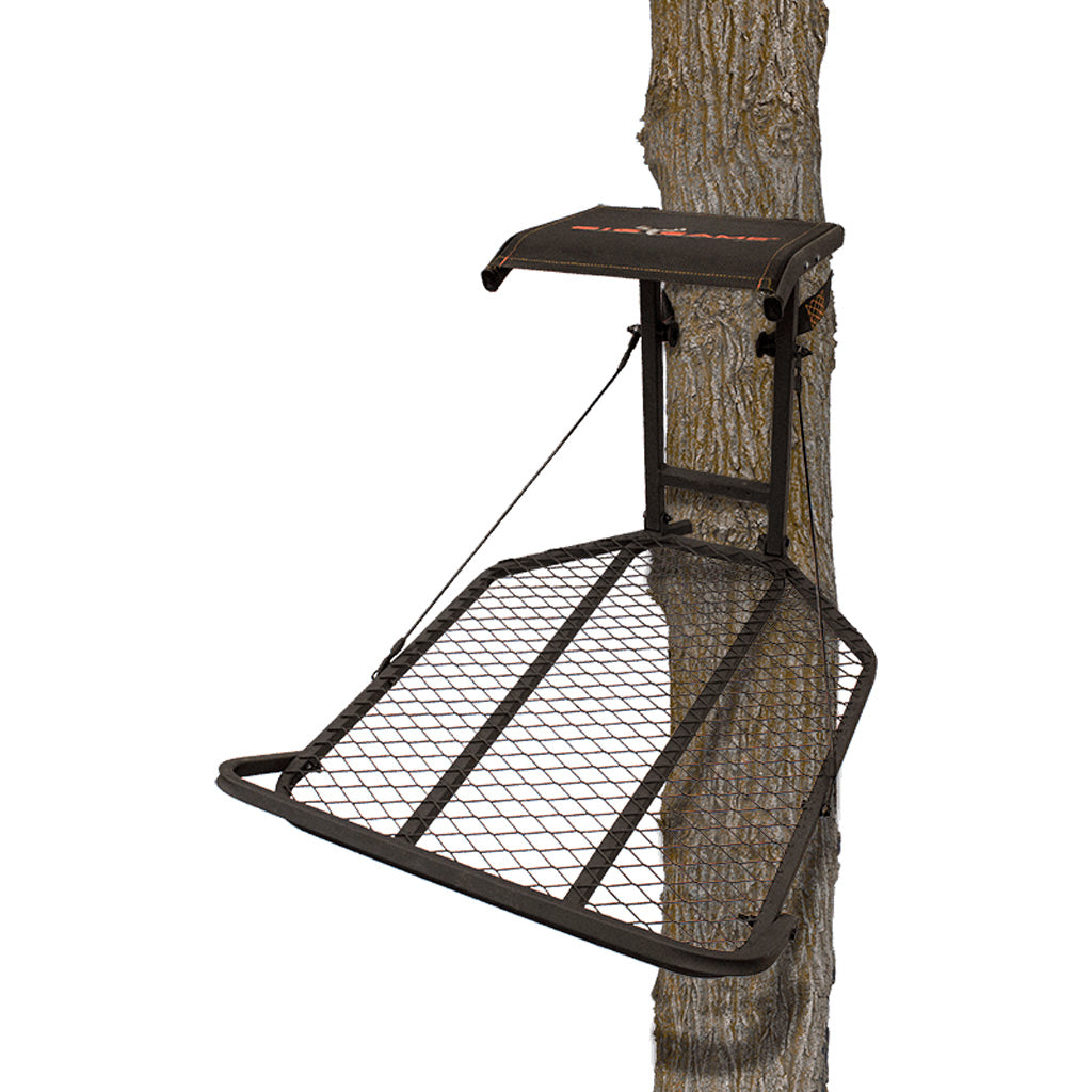 286669315.jpg