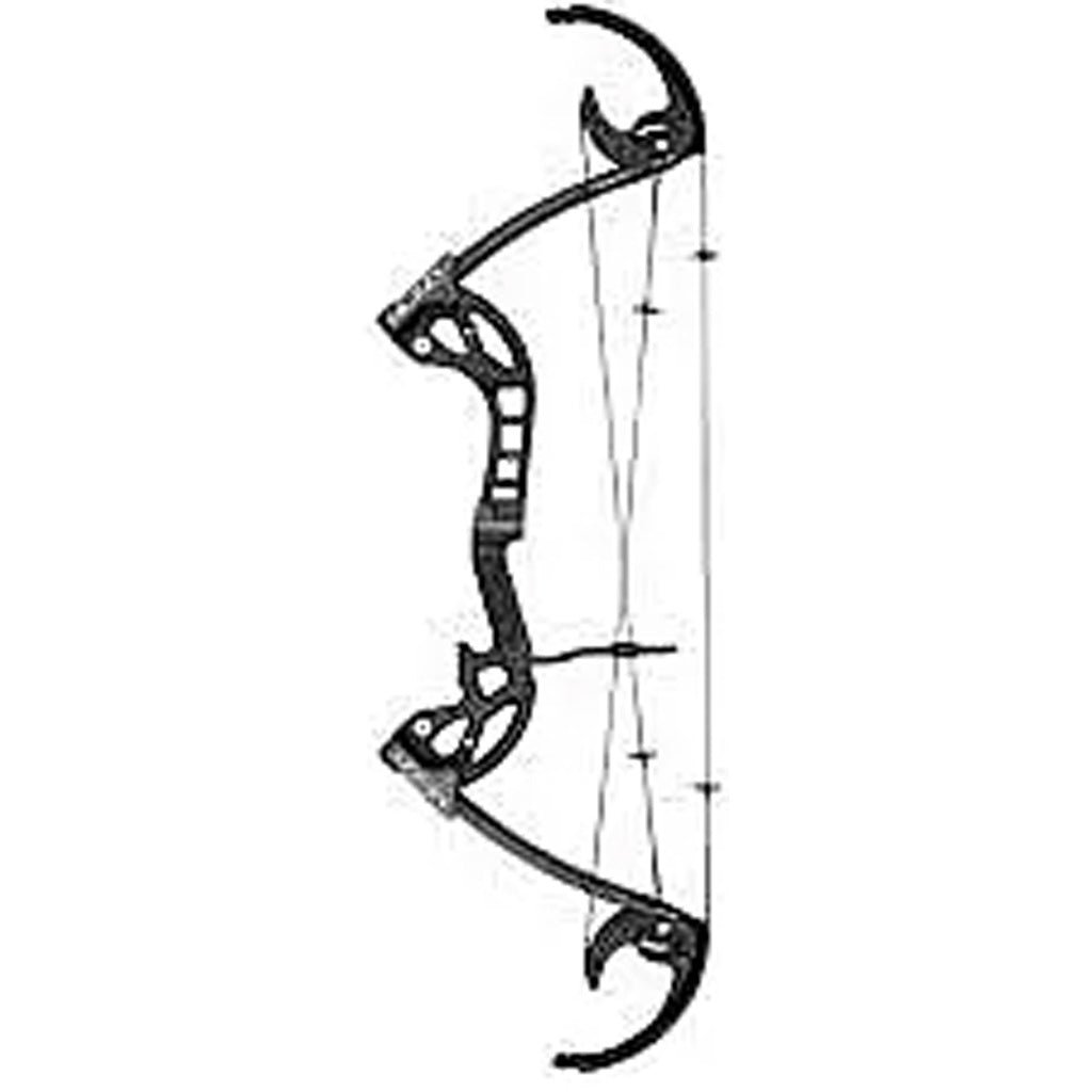 286672818.jpg