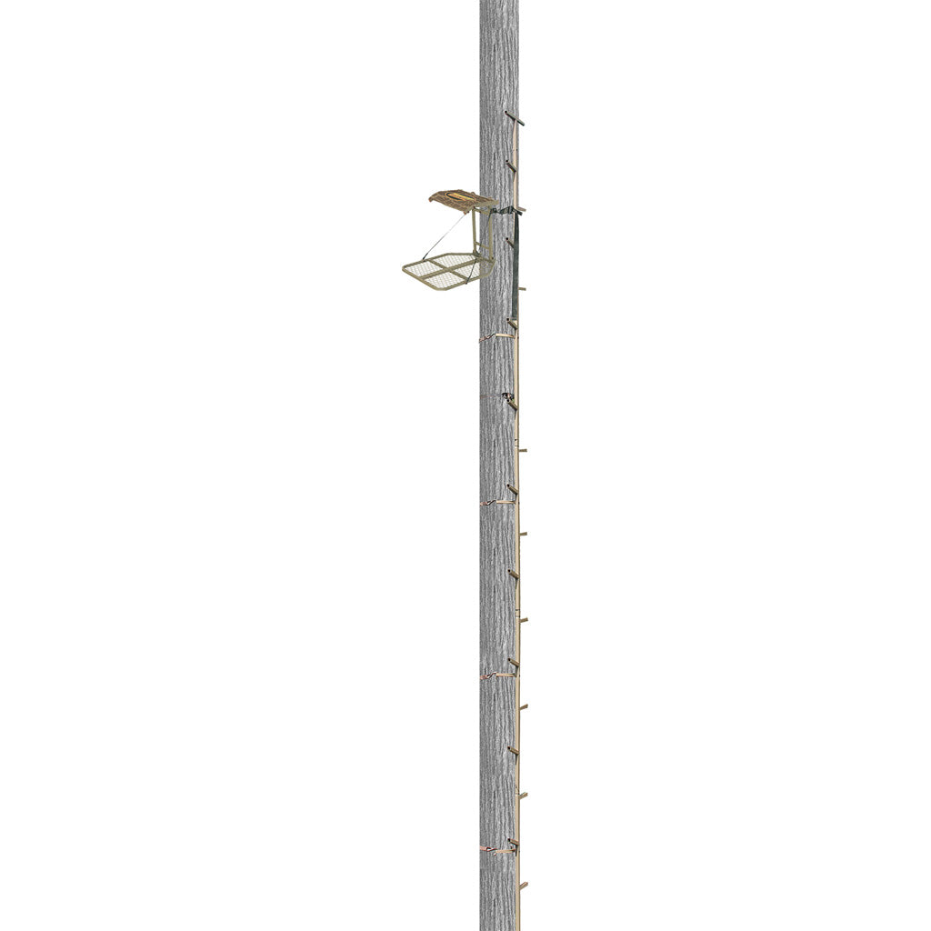 286676431.jpg