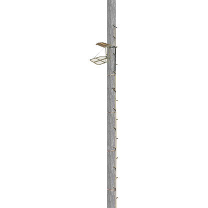286676431.jpg