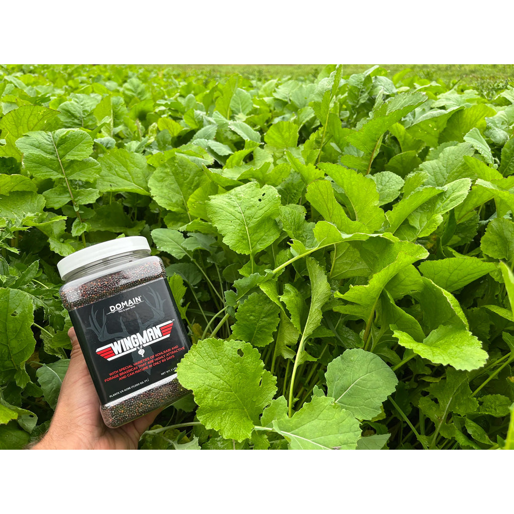 286679904.jpg