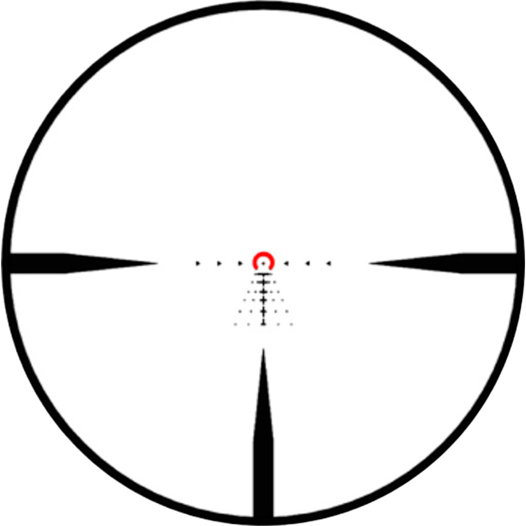 286680174.jpg