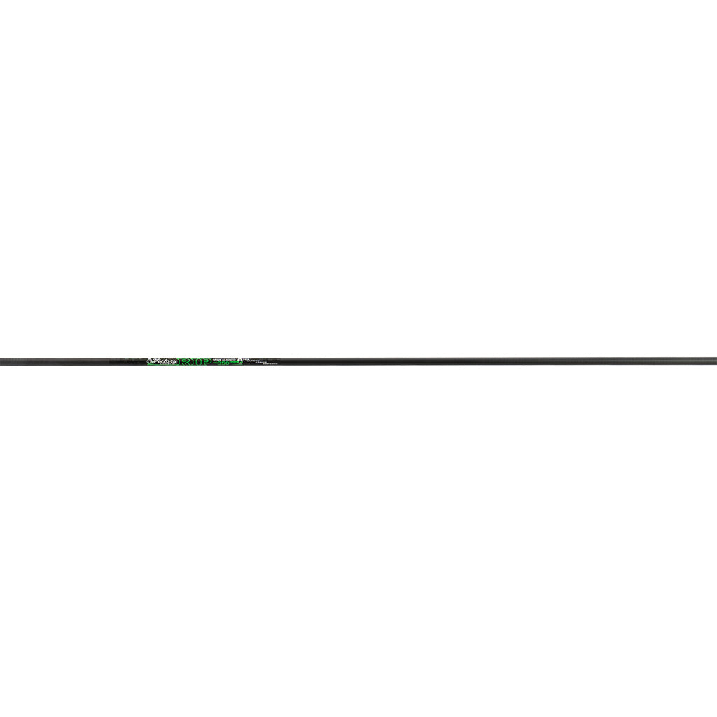 286684028.jpg