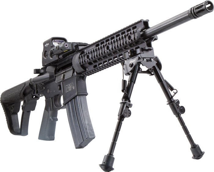 292713900.jpg