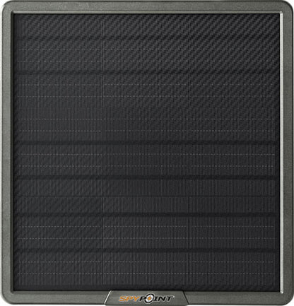 292717113.jpg