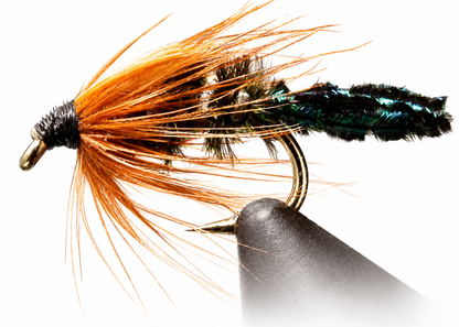 Zug Bug – Bead Head &amp; Standard