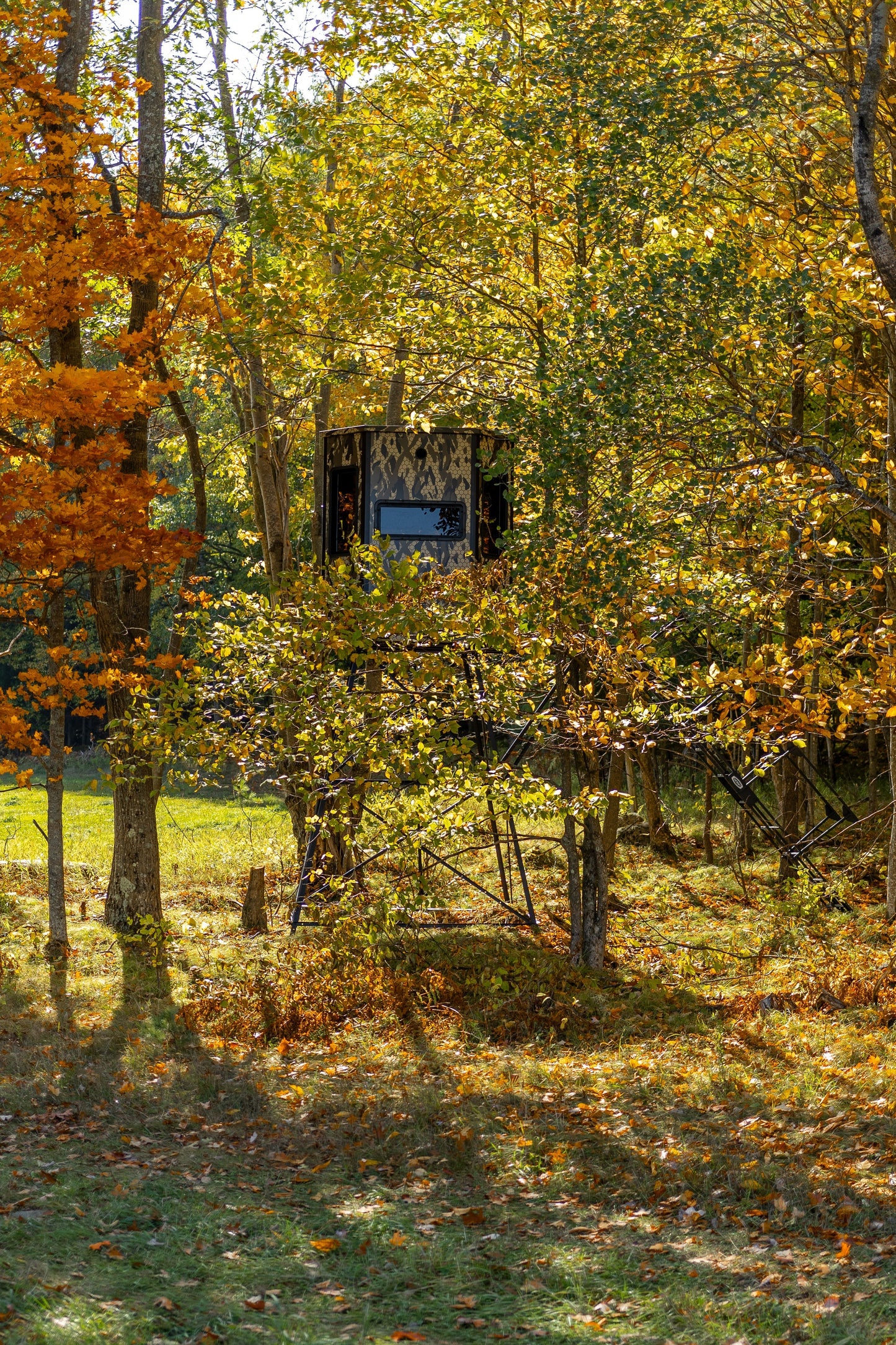 Orion 68VT - Modular Archery Deer Hunting Blind with Tinted Windows