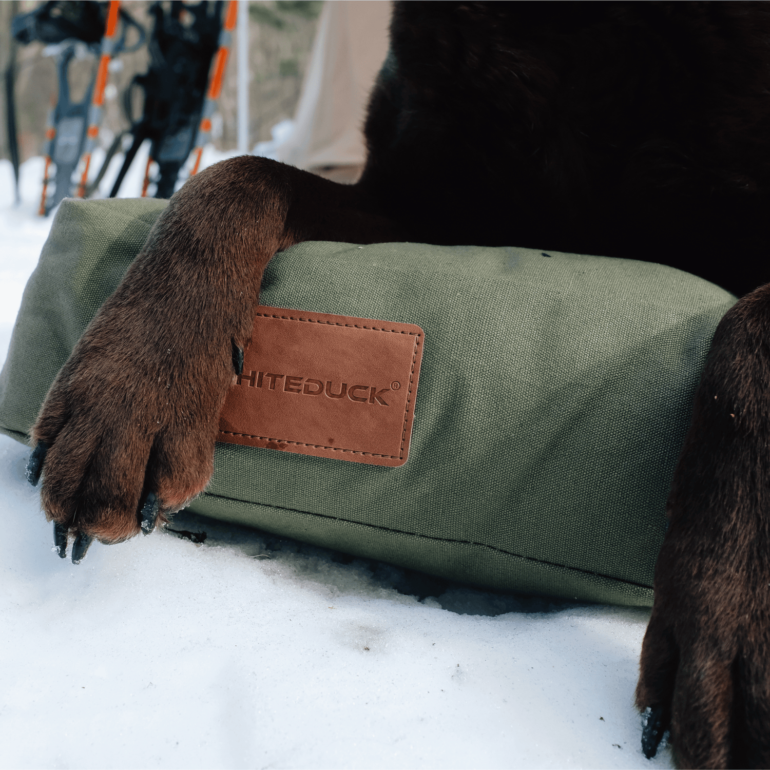 Dog Bed