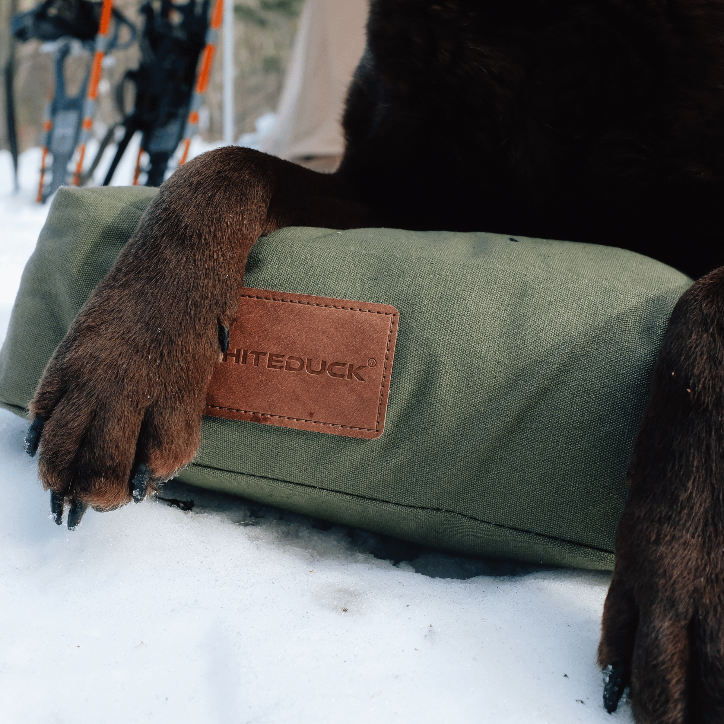 Dog Bed
