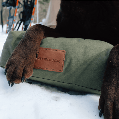 Dog Bed
