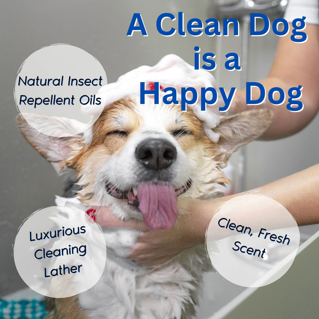 Natural Flea &amp; Tick Removal Shampoo - Citrus Scented