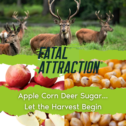 Big Buck Bundle; Deer Attractants and Insect Control