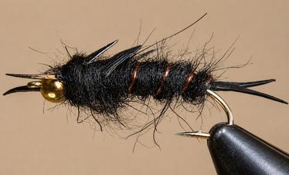 Giant Stonefly Nymphs