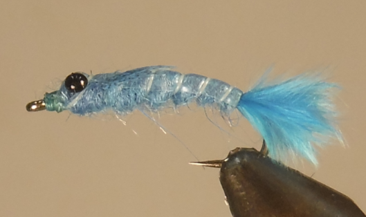 Damselfly Nymphs