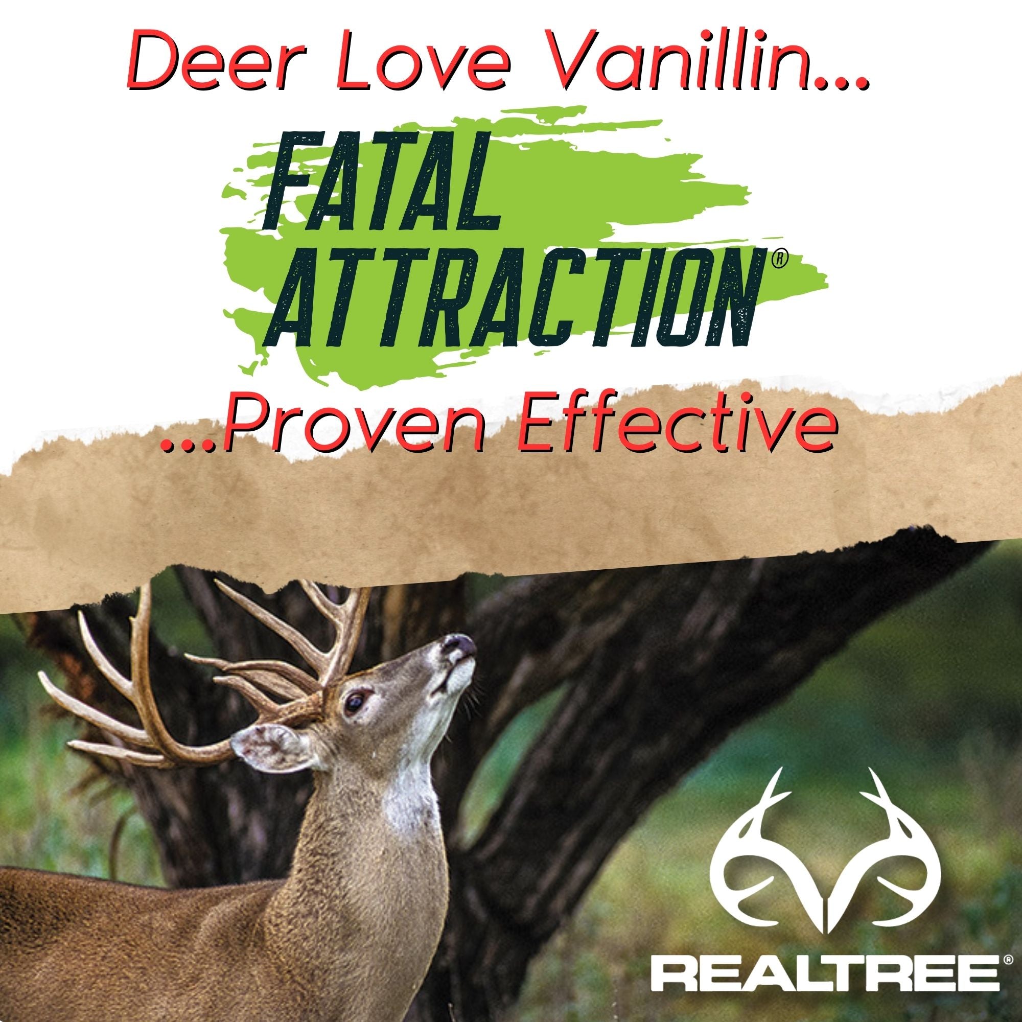 Deer Sugar; Realtree Fatal Attraction Vanillin Deer Attractant &amp; Scent Cover