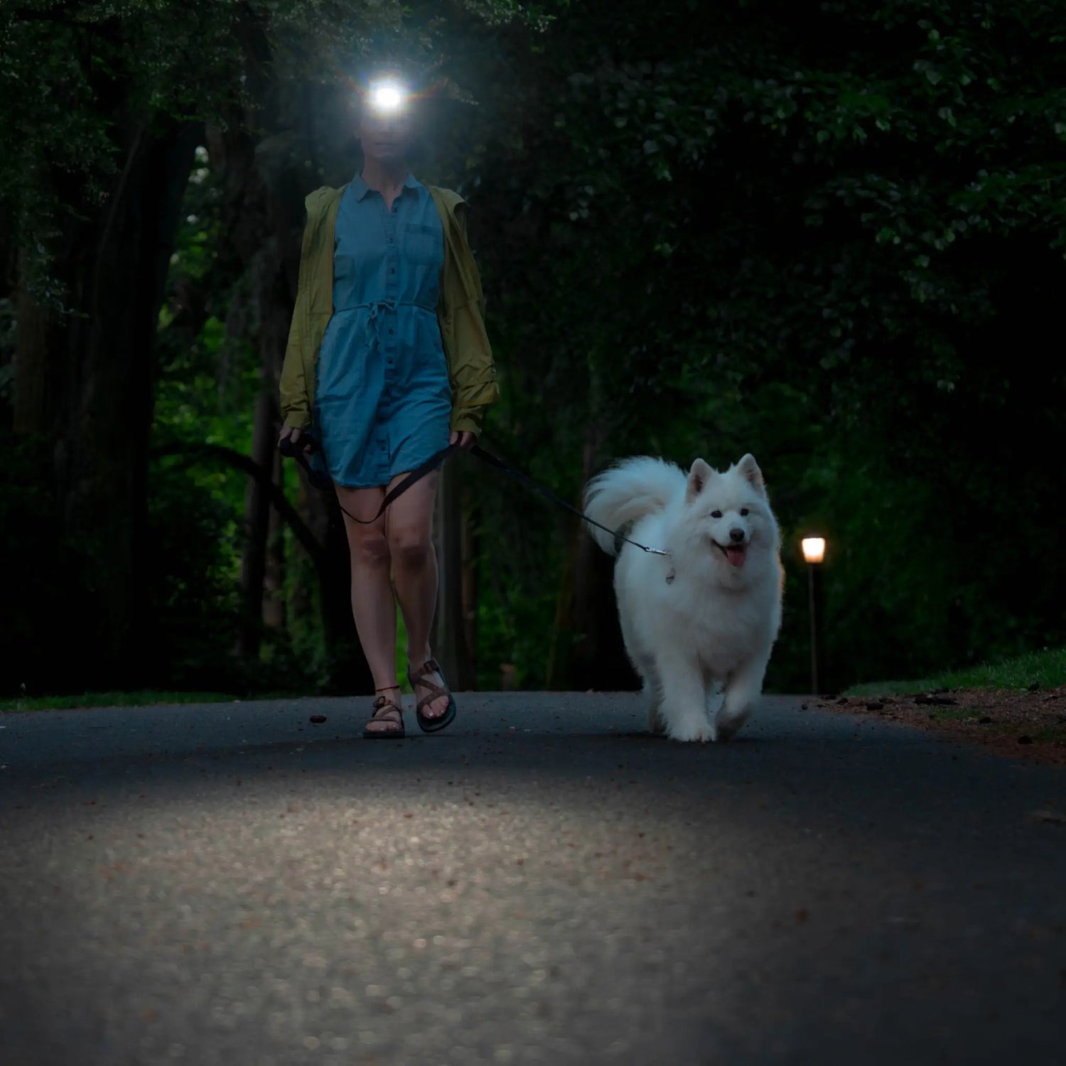 HF4R Core Headlamp