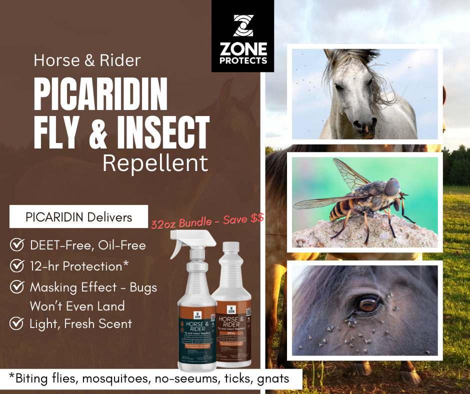 Horse &amp; Rider Fly &amp; Insect Repellent Spray-Refill, 32oz Bundle
