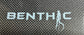 Benthic Carbon Fin Blades