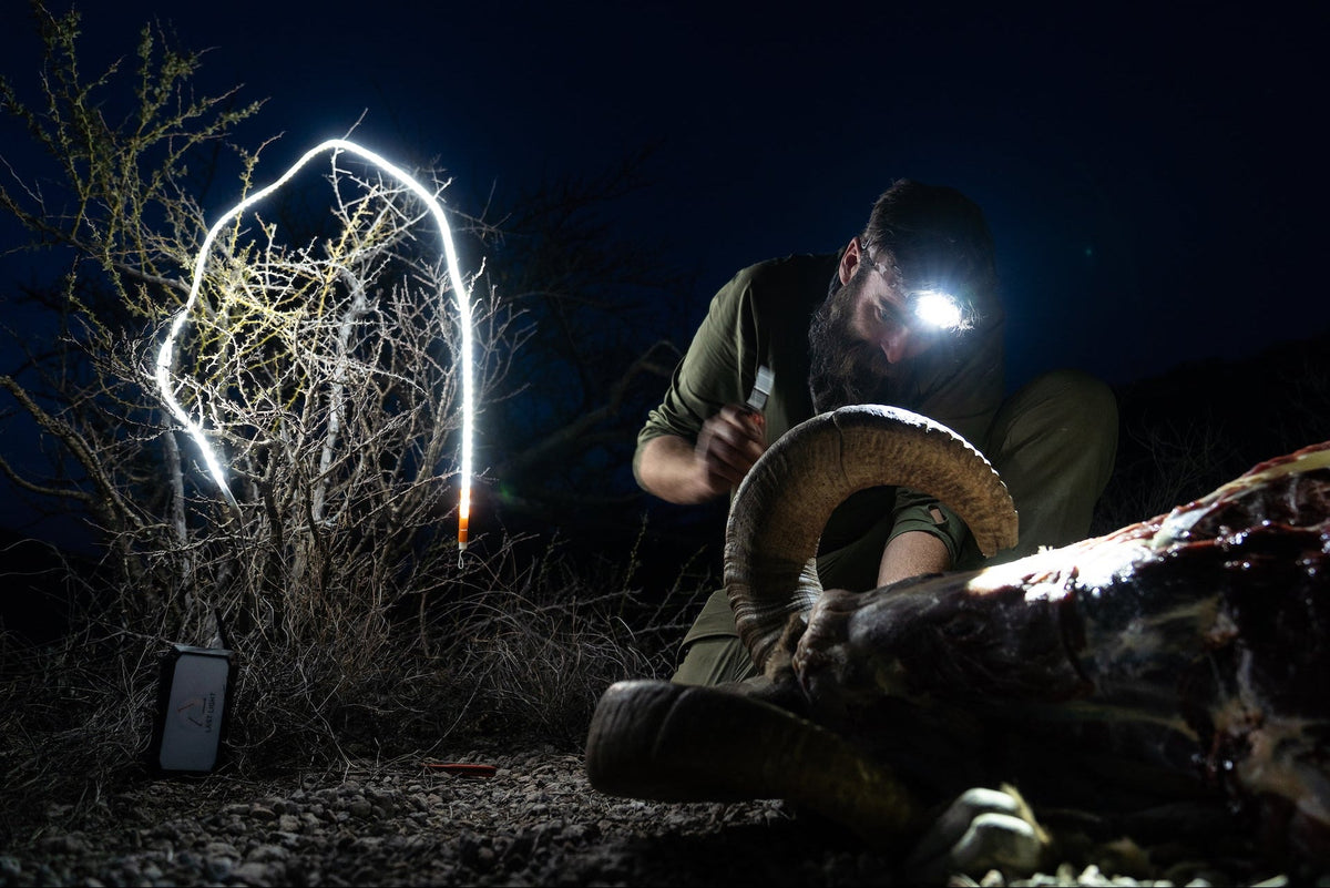 LED Light Rope