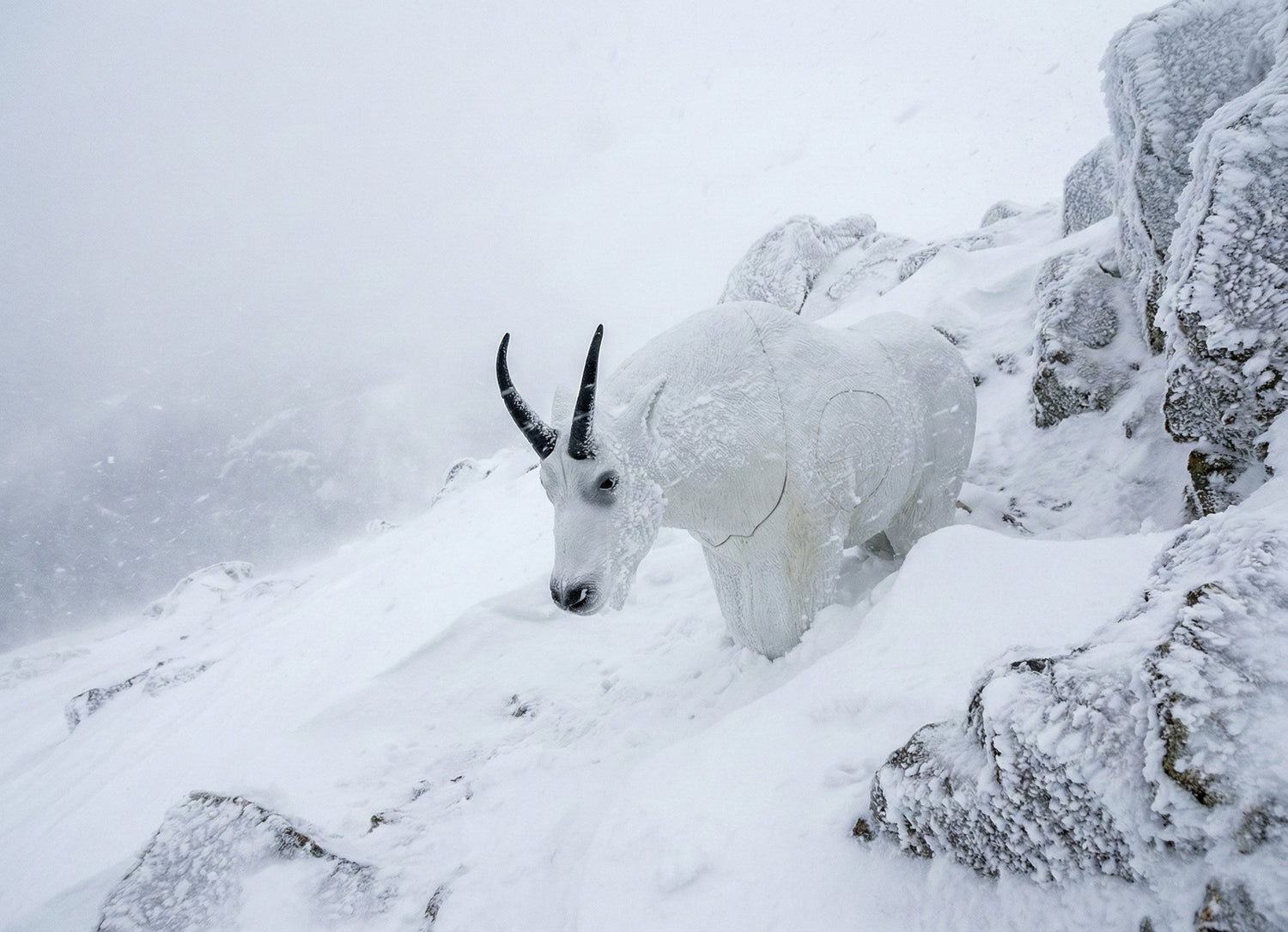 Real Wild 3D Mountain Goat Foam Archery Target