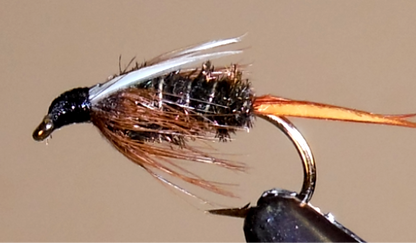 Prince Nymph - BH and Standard