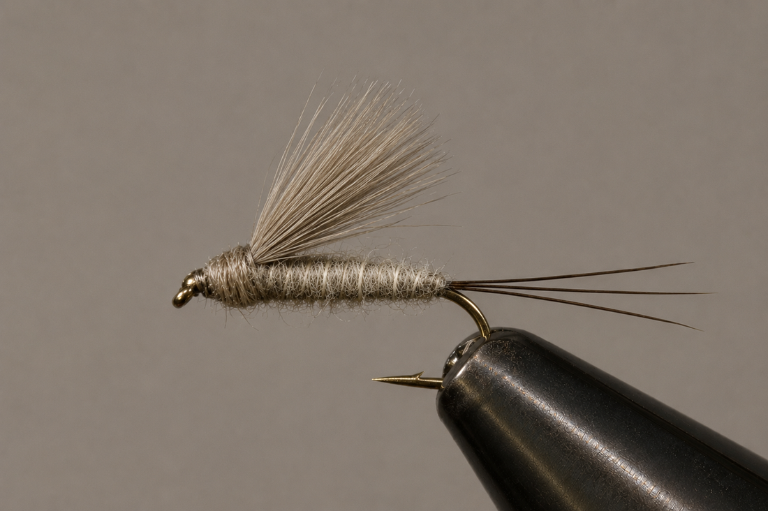 RS2 Emergers