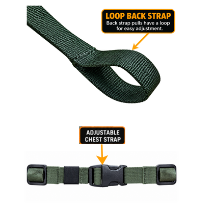 STRATA: Pack Rat Tree Hugger FULL SEND SYSTEM