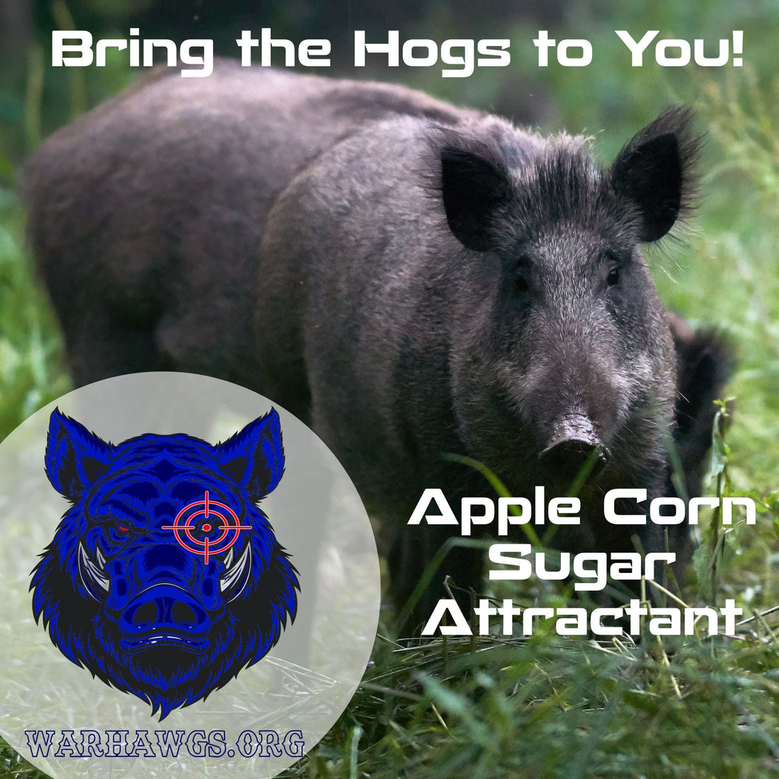 Realtree Fatal Attraction Warhawg Wild Hog Attractant – Apple Corn 16oz