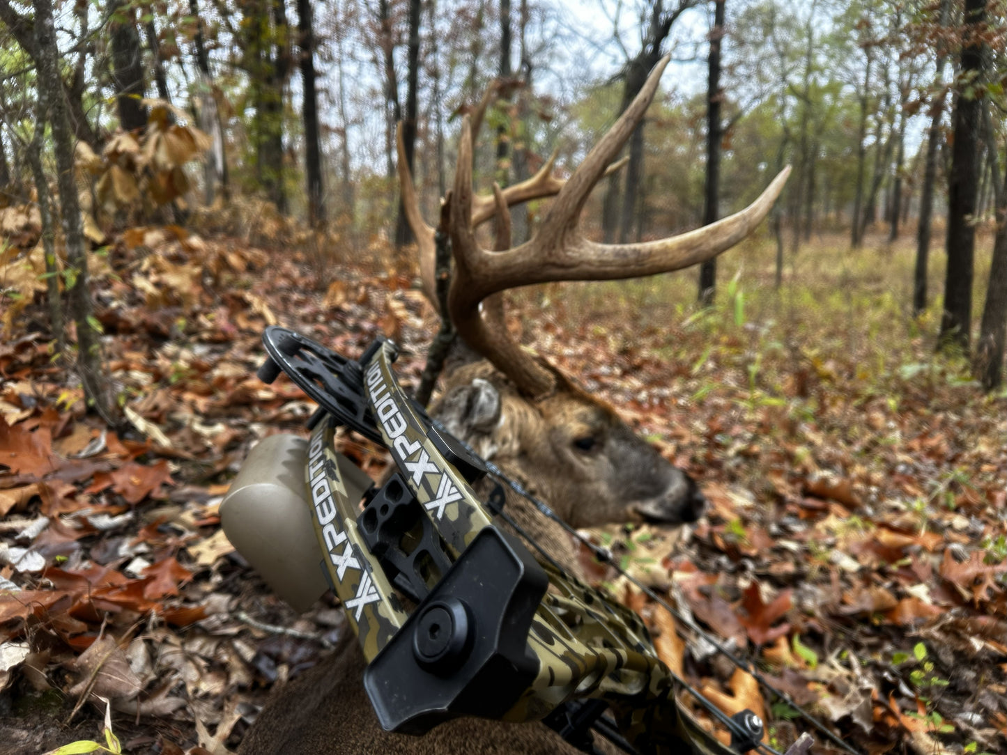 Xpedition Archery Xlite 32™ OD GREEN RH